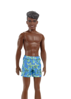 Barbie Ken Doll with Beach Short