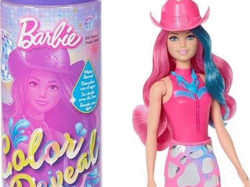 Barbie Color Reveal Fashion Doll & Accessories