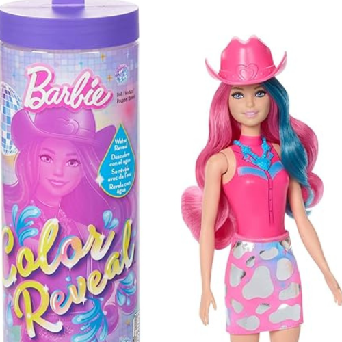 Barbie Color Reveal Fashion Doll & Accessories